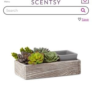 Suc-cute-lent Warmer Scentsy - never used